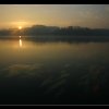20070218_139